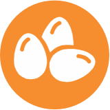 Alérgenos Huevos